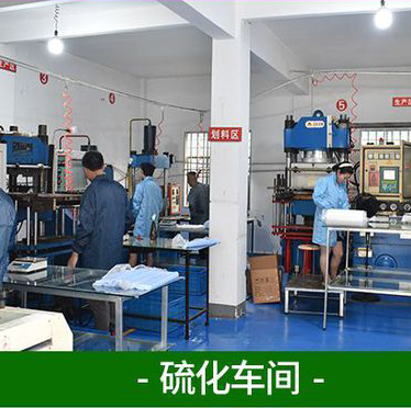Sulfurization workshop