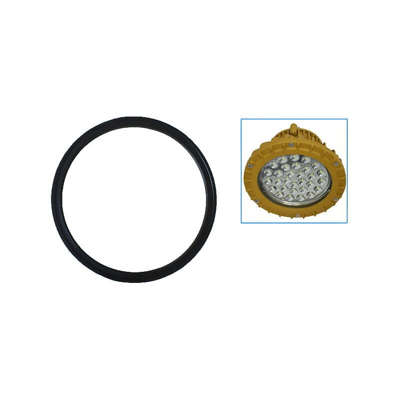 Explosion proof lamp O-ring